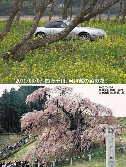 春になりましたね！ 　2012...