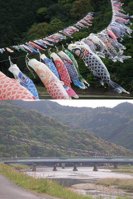 気が付けば五月も半ば過ぎ。