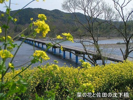 四万十は　春ですよぅ～！　　 ...