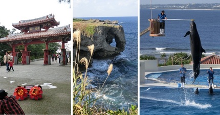 １２月２６日の沖縄北部観光です...