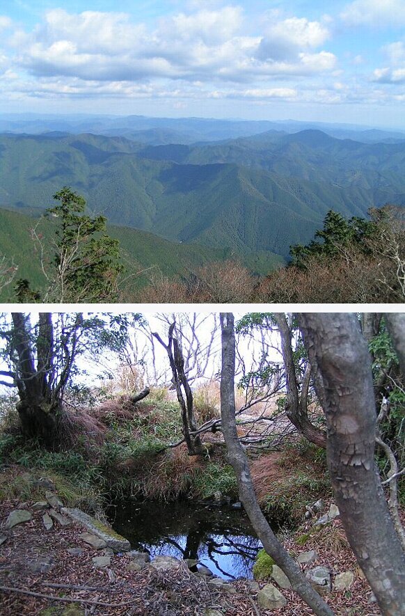 久し振りの山登り