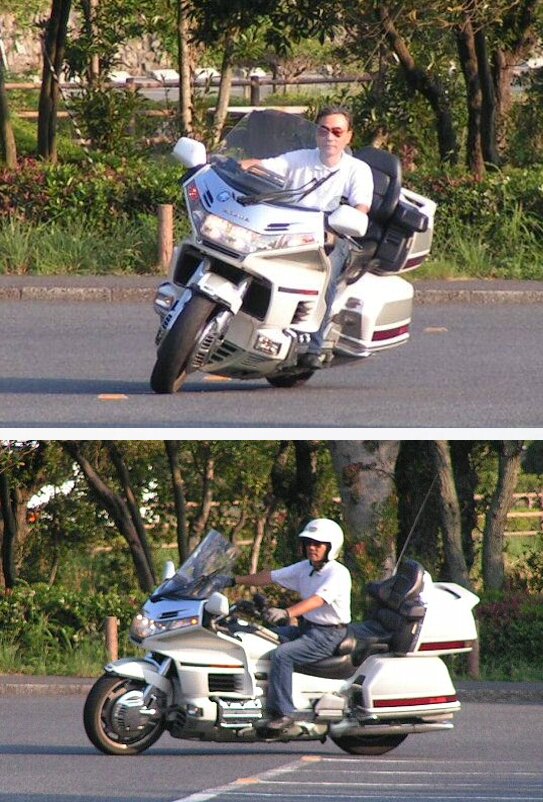 乗ってるところ。
