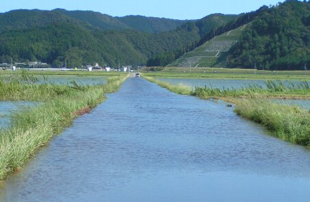 大雨で、Ｍｙ　Ｒｏａｄ　も冠水...