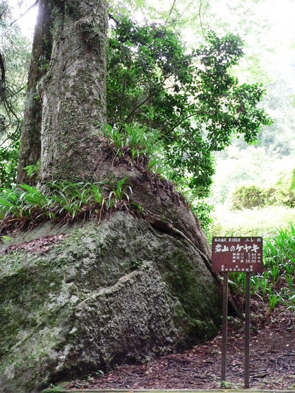 長い間立っていたら