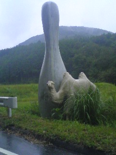 不法投棄？それとも