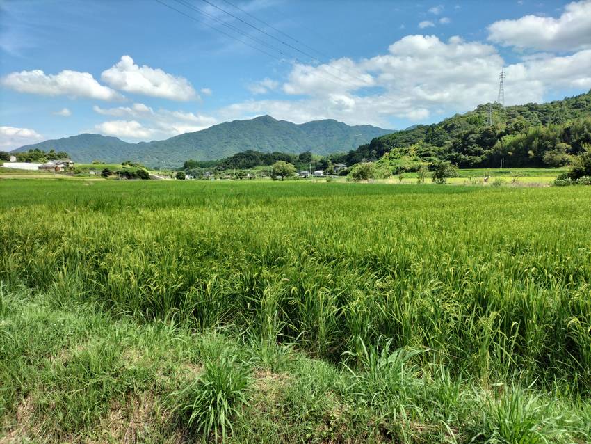 東京で「消耗」したら、しばらく...