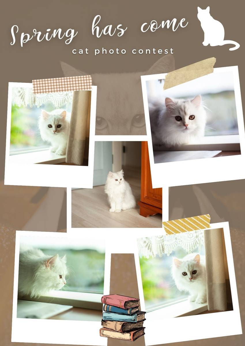 あなたの好きな猫ちゃんも待って...