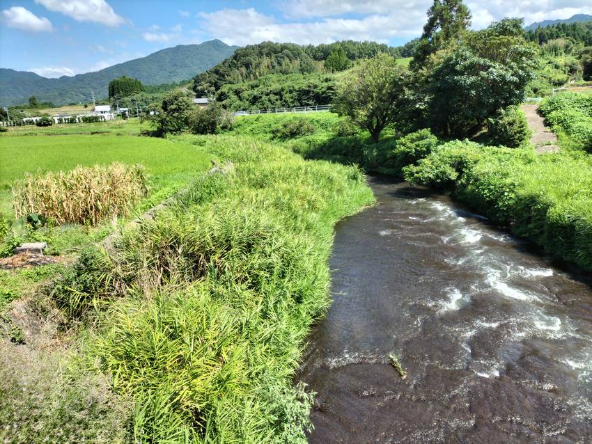 小川のせせらぎも、心地いいです...