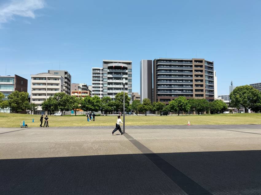 芝生も緑色に染まりつつあります...