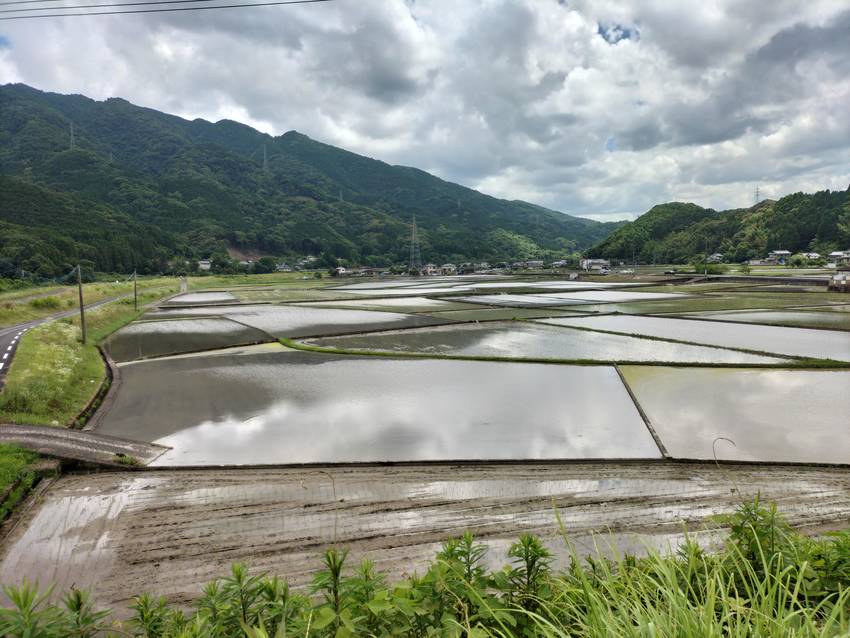 日本の田植えの風景は、とても美...