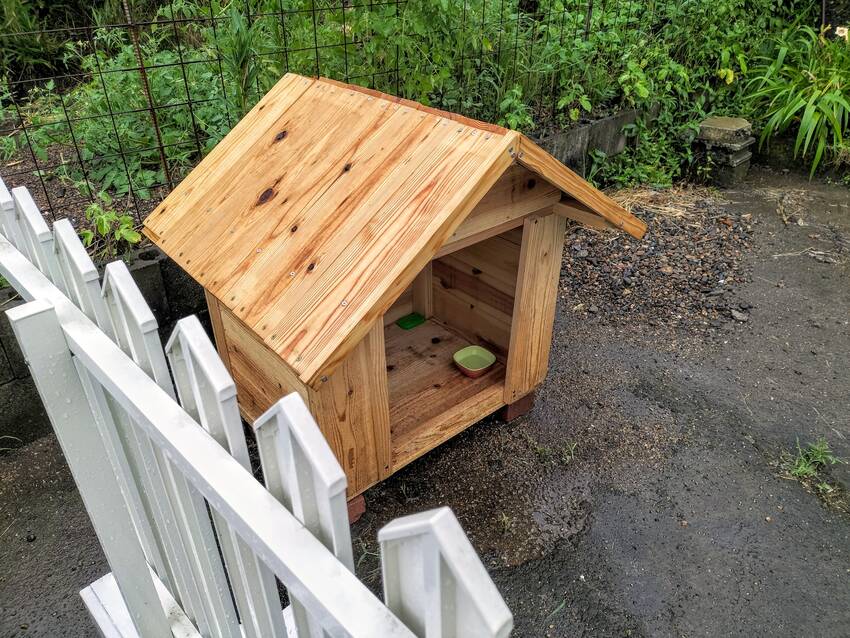 野良猫も、雨の日はどこに行くに...