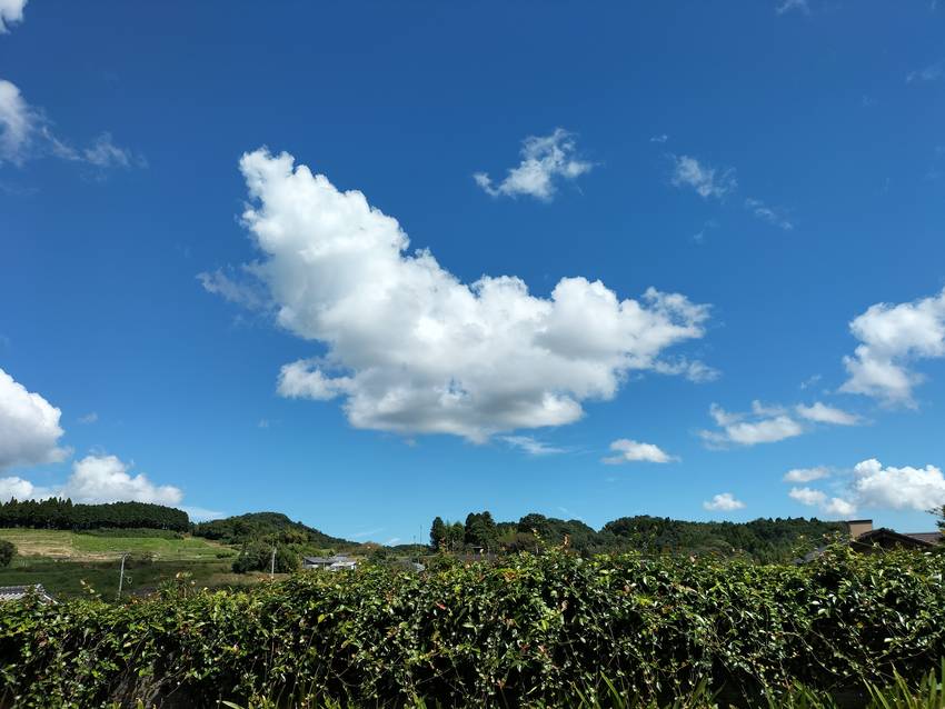 今日も最高気温が３５度とかいっ...