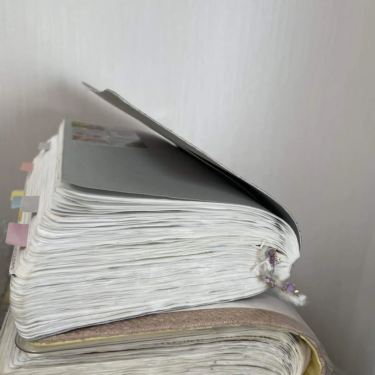 私と同じ1日1ページ、1年1冊...