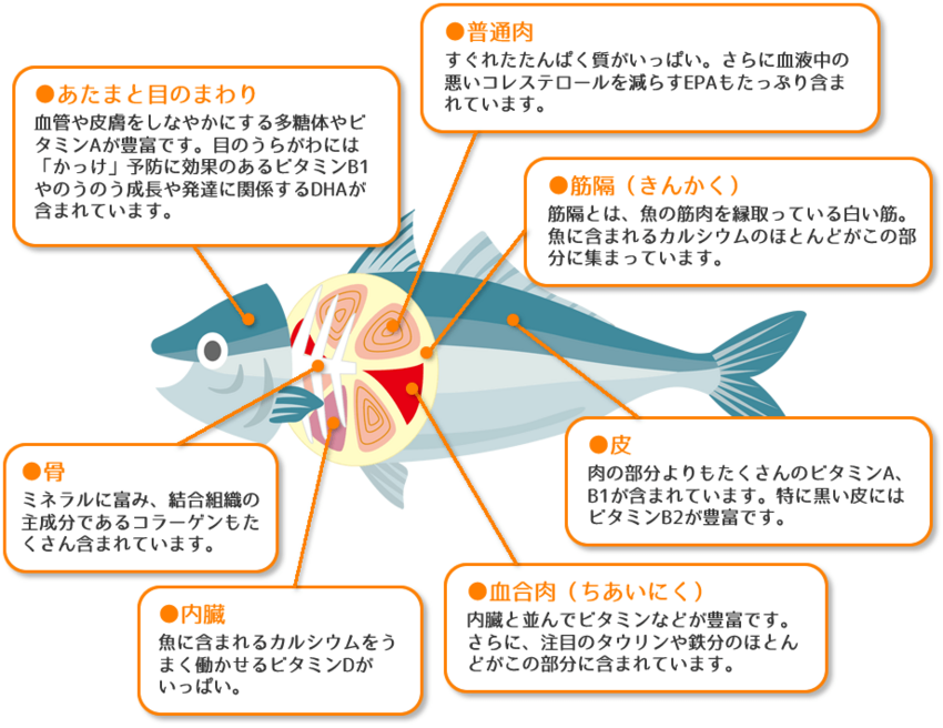 魚が「週2回」から「週1回」に...