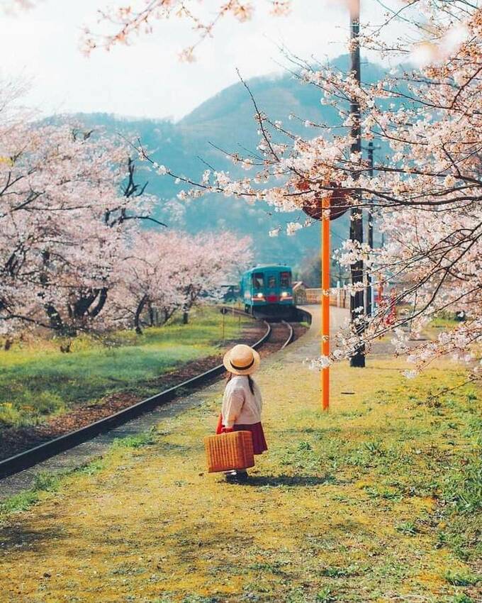 都市部で生まれ育った人でも、 ...