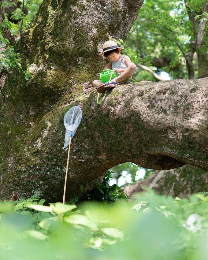 「心の原風景」は、実際の経験や...