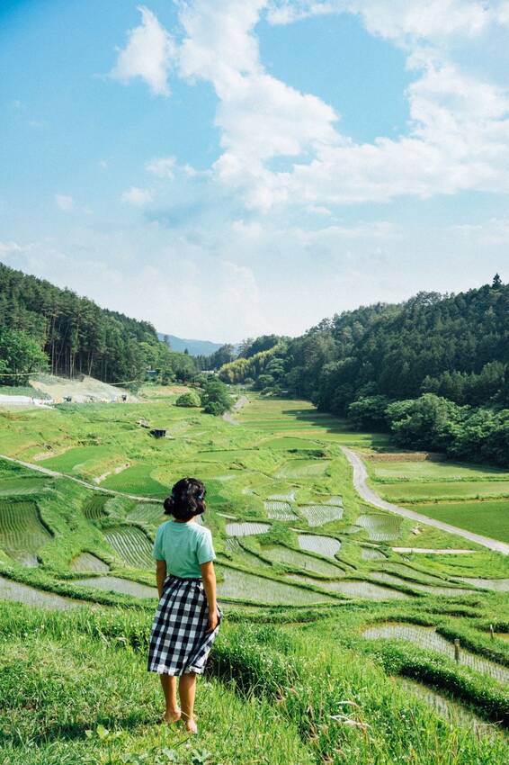山あいに広がる棚田の風景。 階...