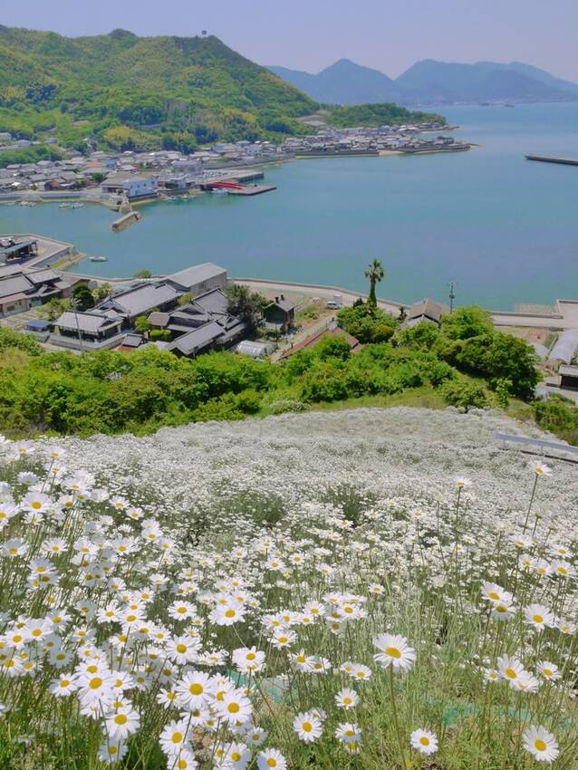 入り江に佇む小さな港町。朝焼け...