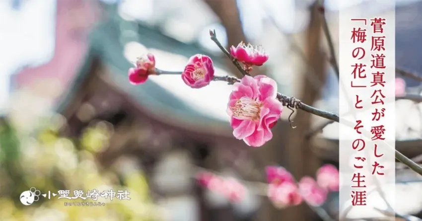 枯草から緑が目立ち始めた村の様...