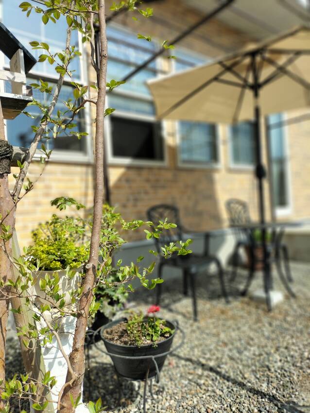周りをぼかしてみました。シャラ...