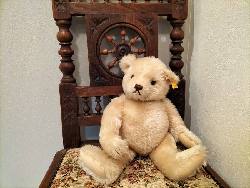冬はクマさんにも、セーターを着...