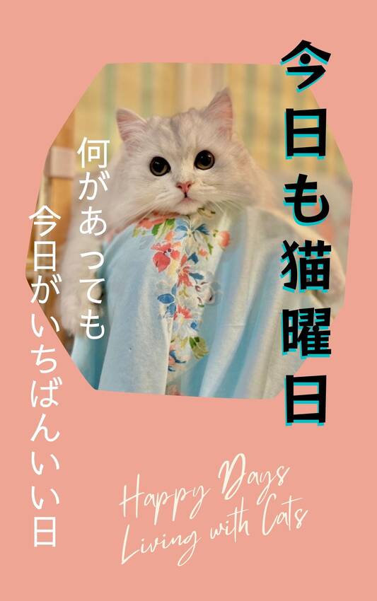 「人間が幸せでも猫が幸せとは限...