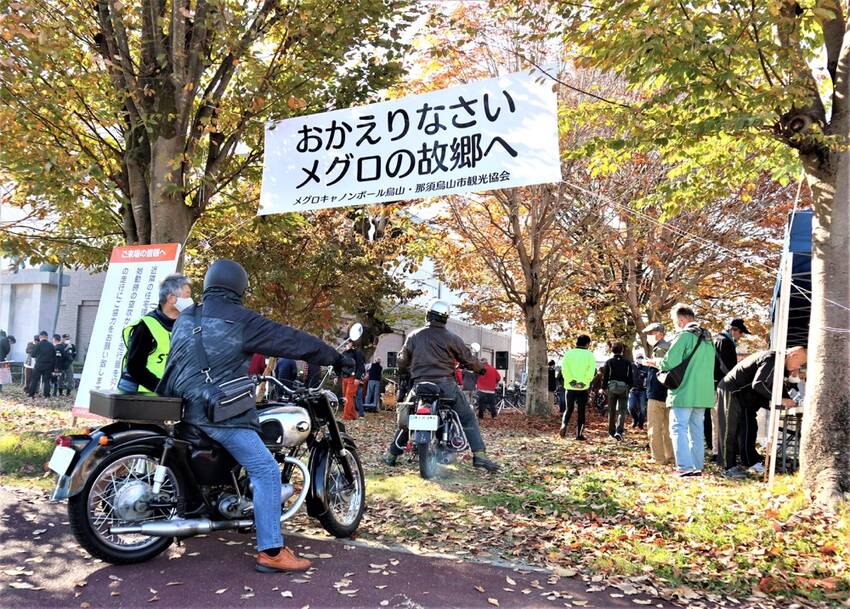 メグロと共にあった日々は、その...