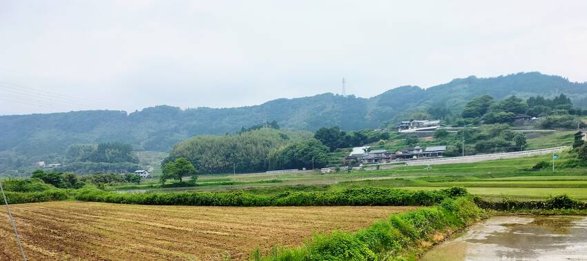 私の近所の里山を流れる小川。流...