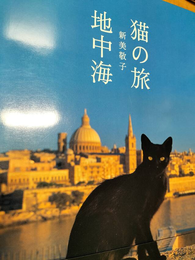避妊・去勢手術を施し、その猫が...