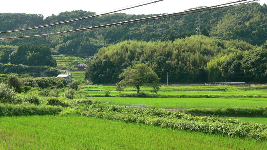 田園風景、丘陵が広がる田舎の風...