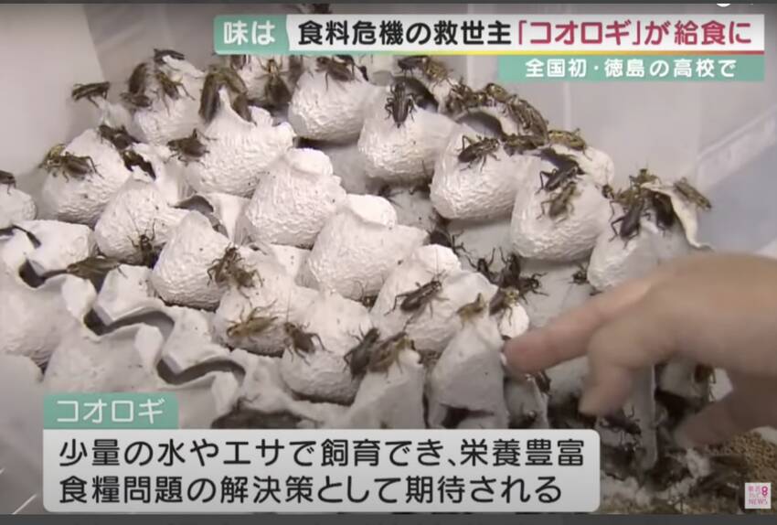 減反政策で農地が原野になります...