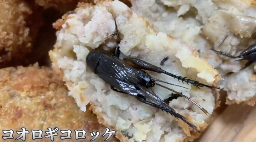 さすがにこれは悪意のあるフェイ...