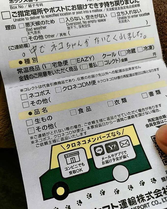 うちのチンチラはツンデレです。...