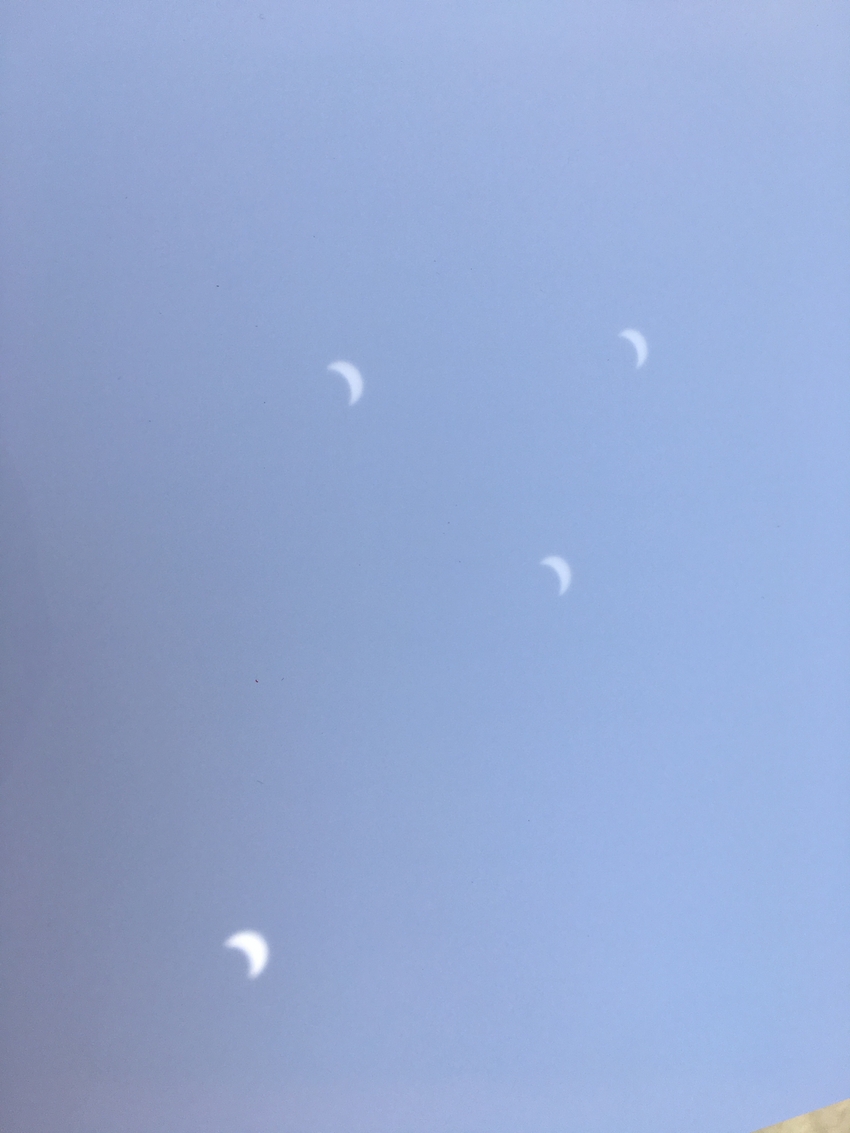 欠けた太陽の影? 楽しい~~~...