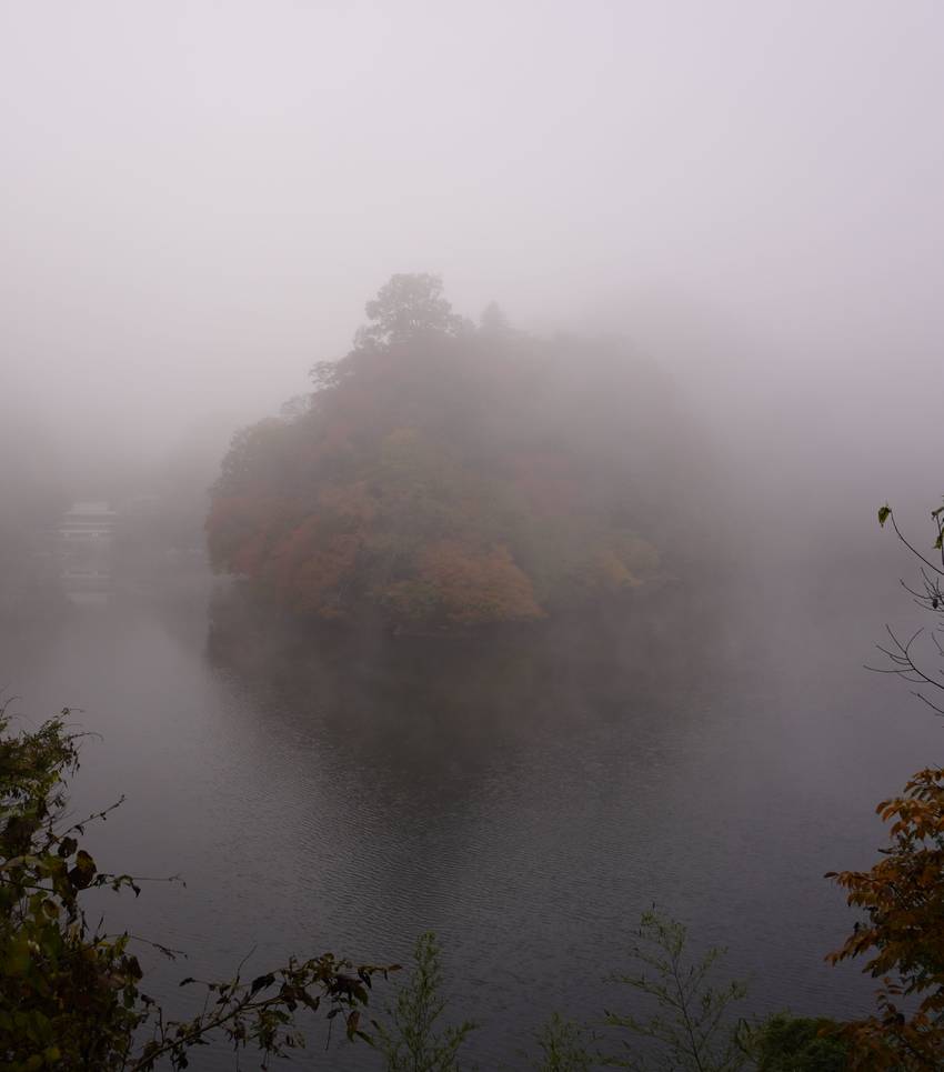 ７９４． 朝霧の風景