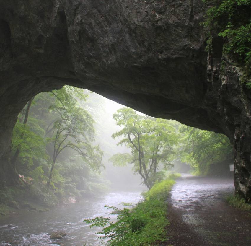 ８１９．こころ免疫