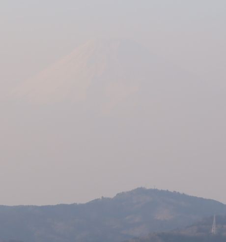 2025年1月、春がすみのなか...