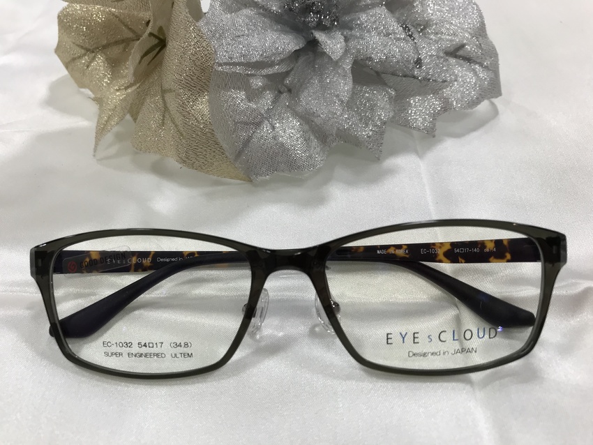 EYEsCLOUD 1032 ...