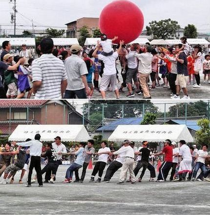 写真は昨年のもの　　本年度は綱...