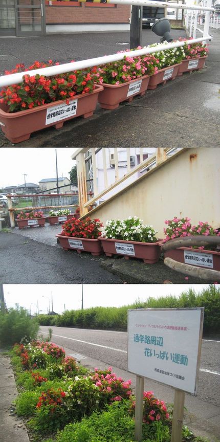 通学路周辺花いっぱい運動のその...