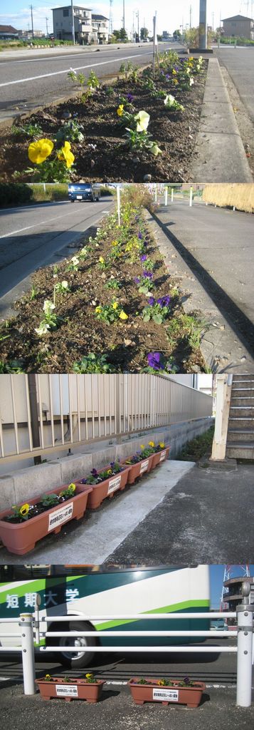 通学路周辺花いっぱい運動