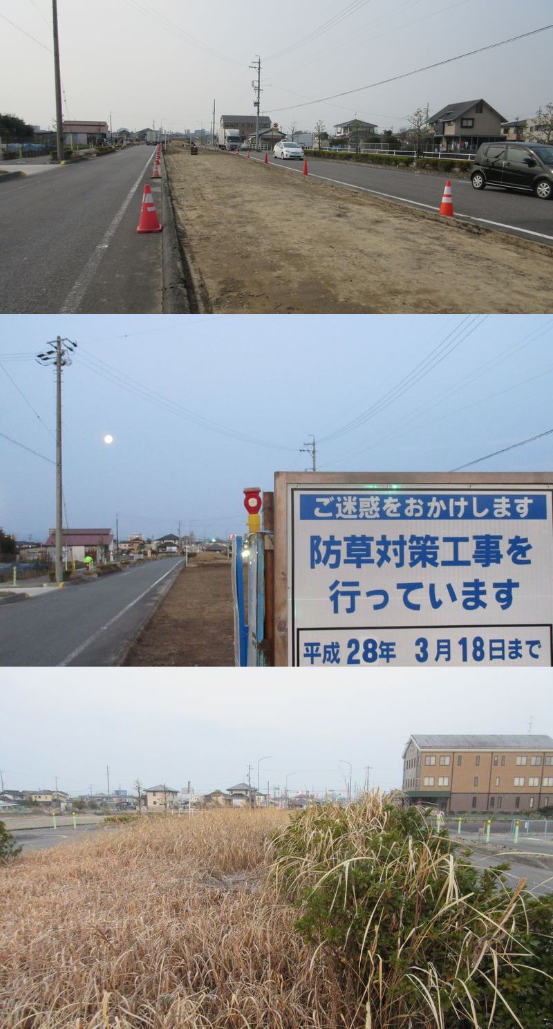 工事中区間　と　防草未対策区間