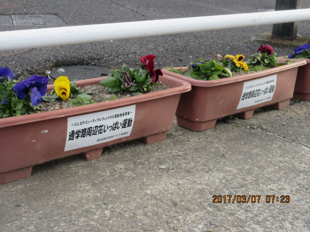 通学路花いっぱい運動