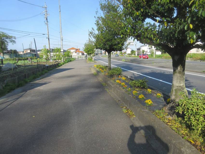 にしなり美化155会活動