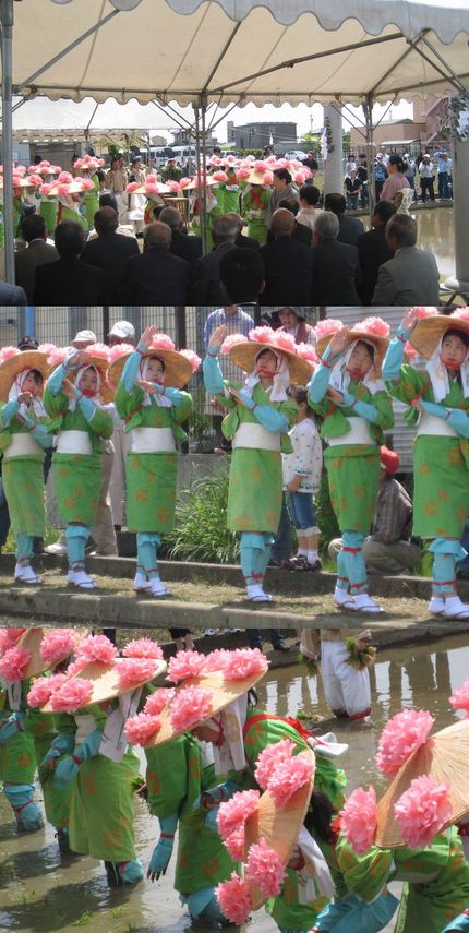 御田植祭（５月１３日）にお出か...