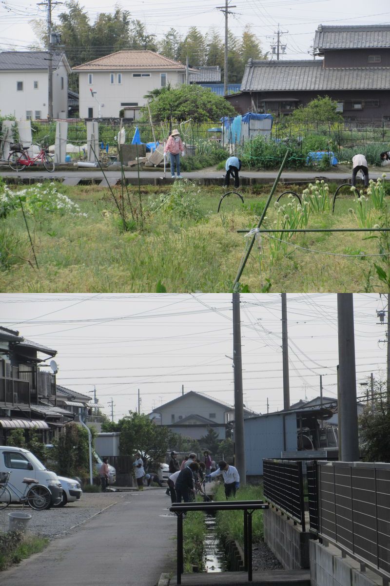 町内総出の川ざらい
