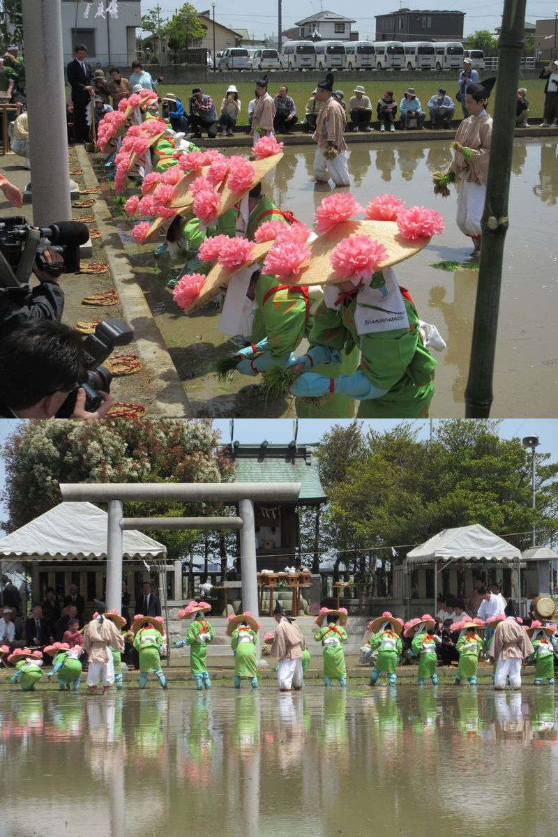 早乙女の御田植スタート