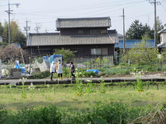 全町内揃っての川ざらい