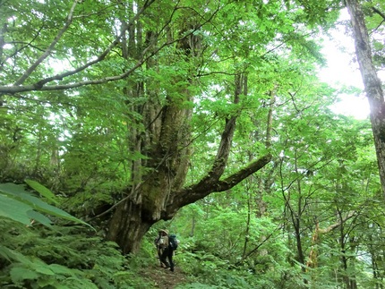 南竜山荘～別山