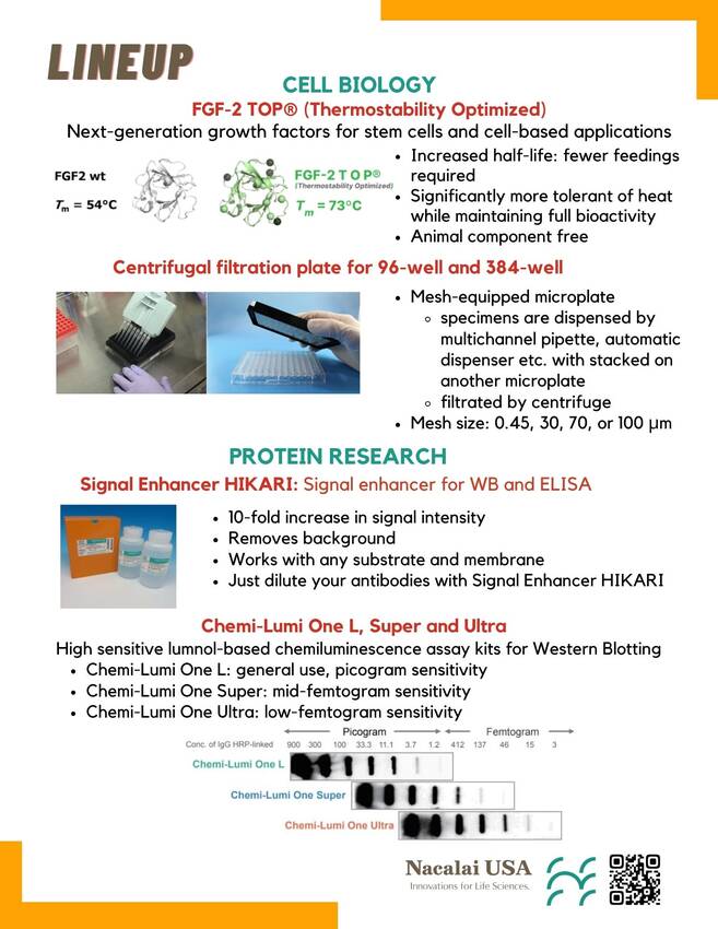 June 2025 Promotion and Feat...